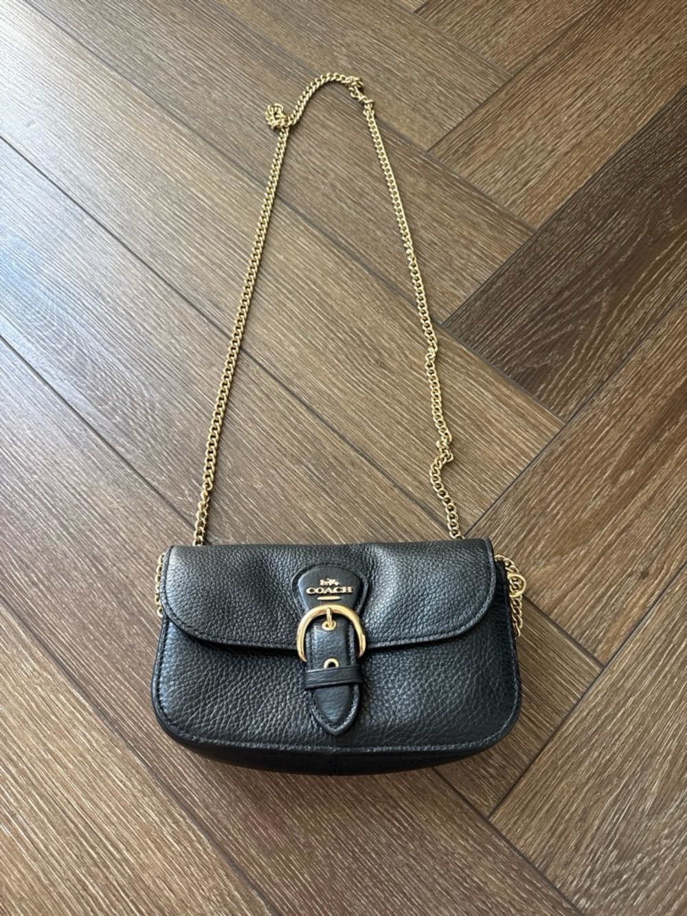 Coach Kleo Mini Leather Crossbody with Gold Chain